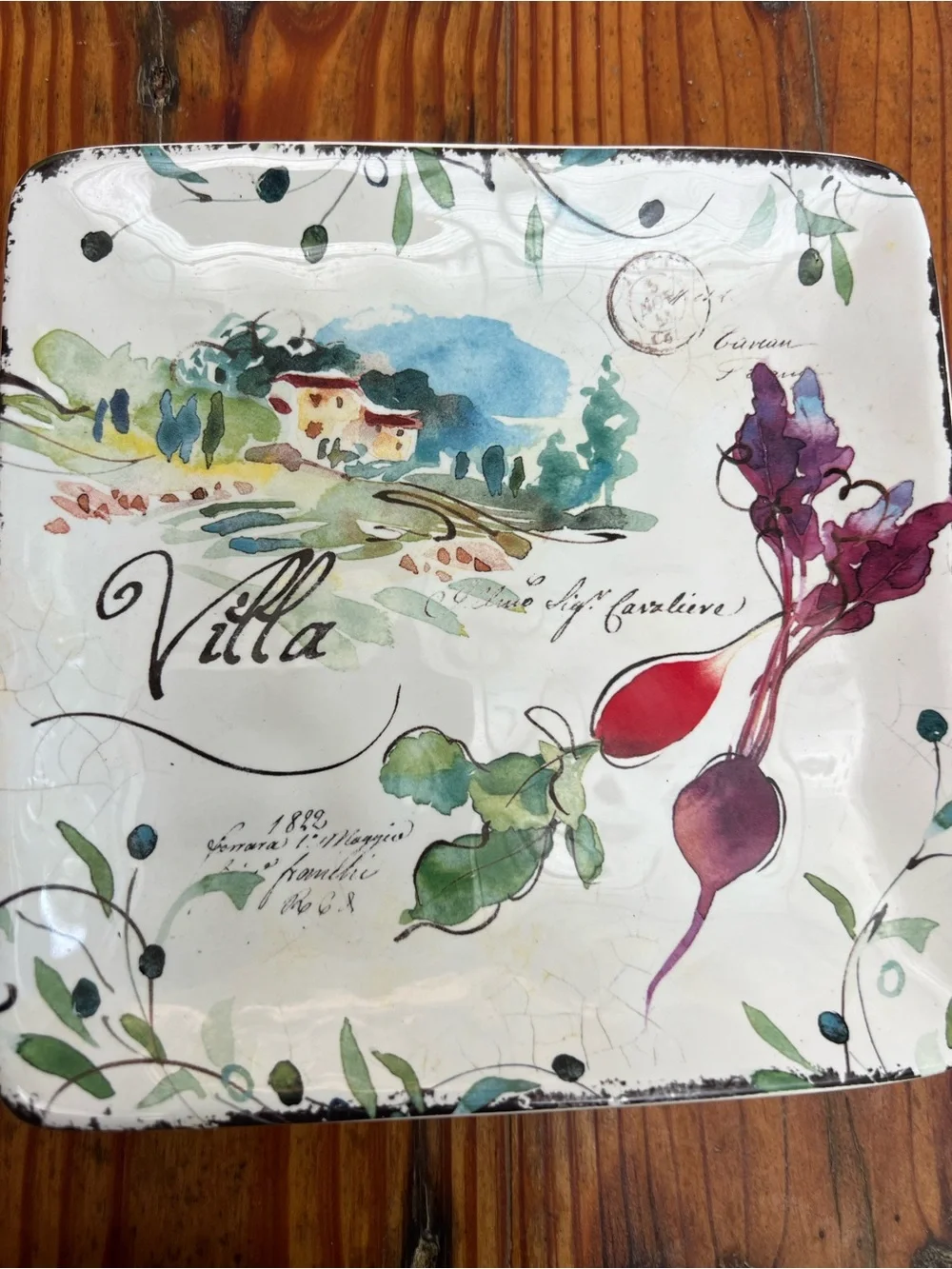 CERTIFIED INTERNATIONAL Julie Paton Villa Canape Plate Dash Of That 3 Plates NWT